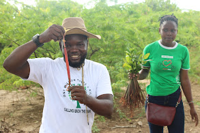 Mangrove Restoration at Sabaki Estuary Kilifi