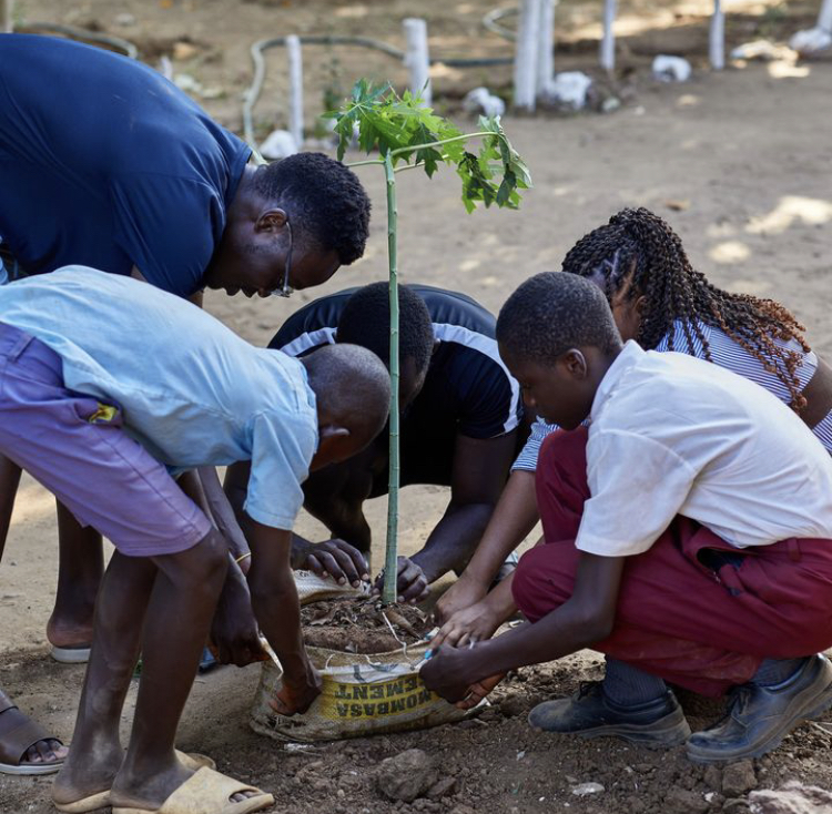 Creating Fruit Orchards to Support Kilifi’s Children and Schools